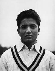 Image result for Cricket Icon