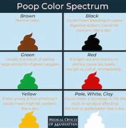 Image result for Poop Color:Red