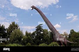 Image result for Largest Herbivorous Dinosaur