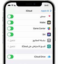 Image result for Screenshots of iCloud Settings Sign in iPhone OS 17