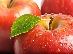 Image result for Water Apple