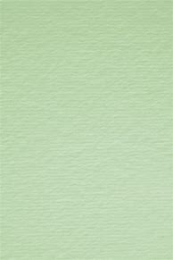 Image result for Grainy Light Green Paper