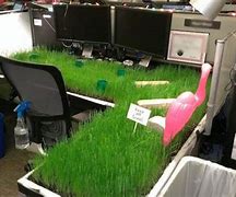 Image result for Funny Office Prank Meme