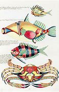 Image result for Red Fish Painting