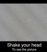 Image result for Shake Your Head to See the Picture