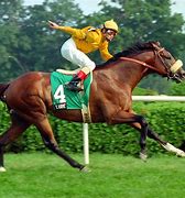Image result for Team of Horses Racing