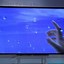 Image result for Sony 4K 84 Inch TV