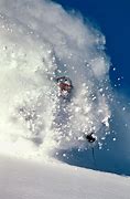Image result for Ski Powder Alta