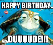 Image result for Funny Turtle Birthday Memes