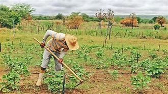 Image result for agriculror