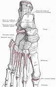 Image result for 1 Linear Foot