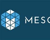 Image result for MESOs