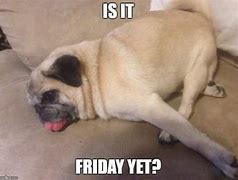 Image result for Almost Friday Dog Meme