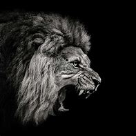 Image result for Black and White Roaring Lion Head