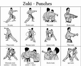 Image result for Basic Martial Arts Moves