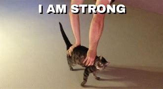 Image result for Being Strong Meme