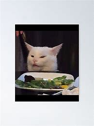 Image result for Angry Cat Table Meme