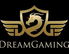 Image result for Dream Gaming Logo