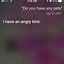 Image result for Strange Things to Ask Siri