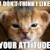 Image result for Hey Cool Cat Meme