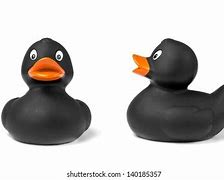 Image result for Black Rubber Duck