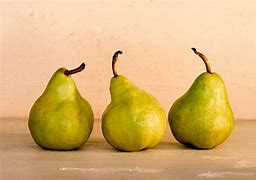 Image result for Easy Still Life Photography