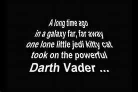 Image result for Cat Funny Star Wars Pichers