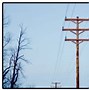 Image result for Wood Electrical Box