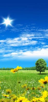 Image result for Nature Wallpaper From Samsung