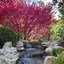 Image result for Back Yard Water Feature Plans