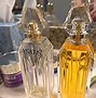 Image result for Glam Perfume for Women