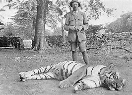 Image result for Kaur Kills Tiger