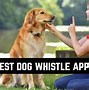 Image result for Dog Whistle Symbols