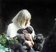 Image result for Zookeeper Gorilla