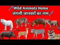 Image result for Sarvahari All Animals in Hindi