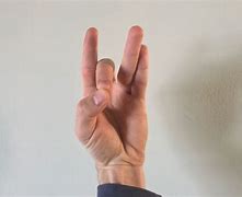 Image result for Hand Positions Holding Something