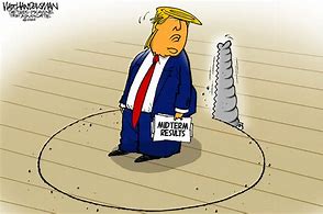 Image result for New Year Resolution Political Cartoons