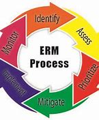 Image result for ISO ERM Process Flow