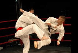Image result for Karate Fight Bombs