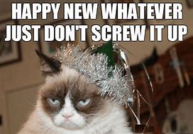 Image result for Happy New Year 2019 Cat Meme