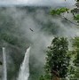 Image result for Blurry Rainy Forest Wallpaper