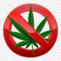 Image result for No Marijuana Sign
