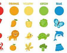 Image result for Objects with Different Colours