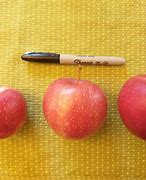 Image result for Apple Size Visual