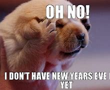 Image result for Funny Pics of New Years Memes