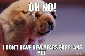 Image result for new year eve meme