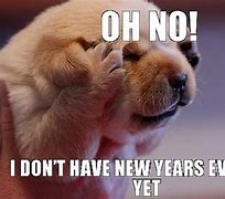 Image result for Hilarious Memes for New Year