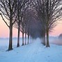 Image result for Netherlands Snow