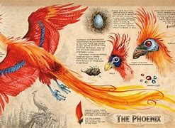 Image result for Phoenix in Harry Potter