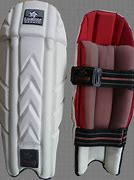 Image result for Wicket Keeping Pads